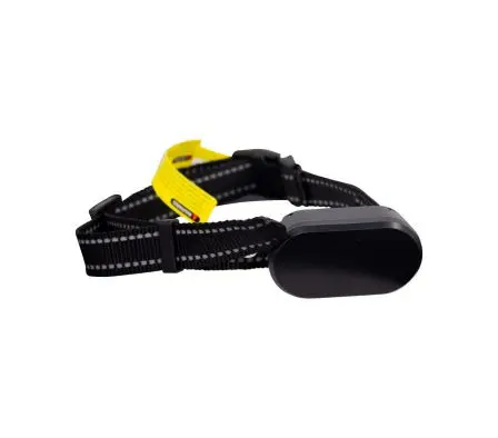 Collar de entrenamiento para mascotas